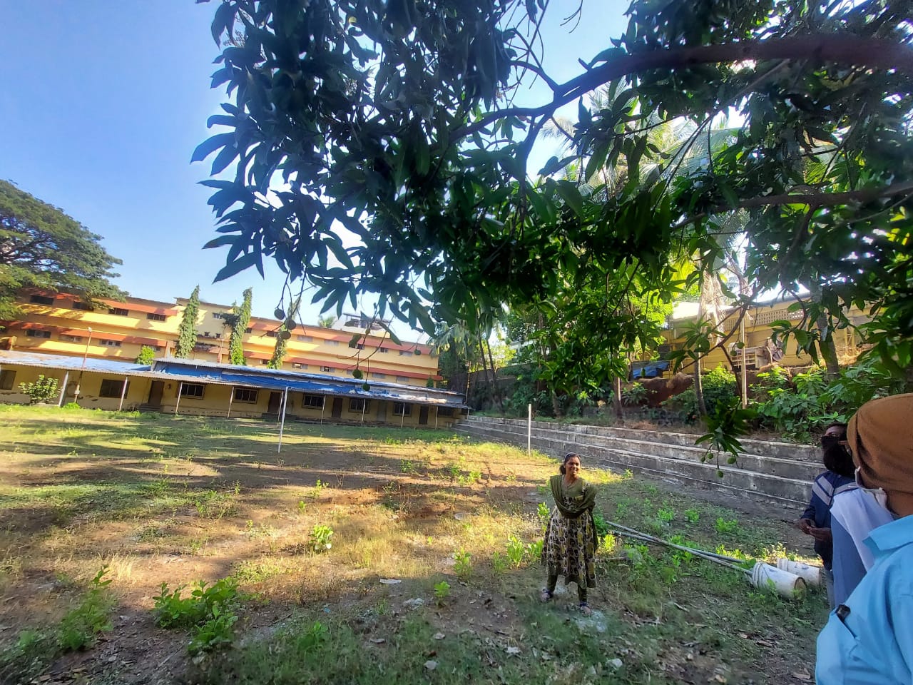 Nature View